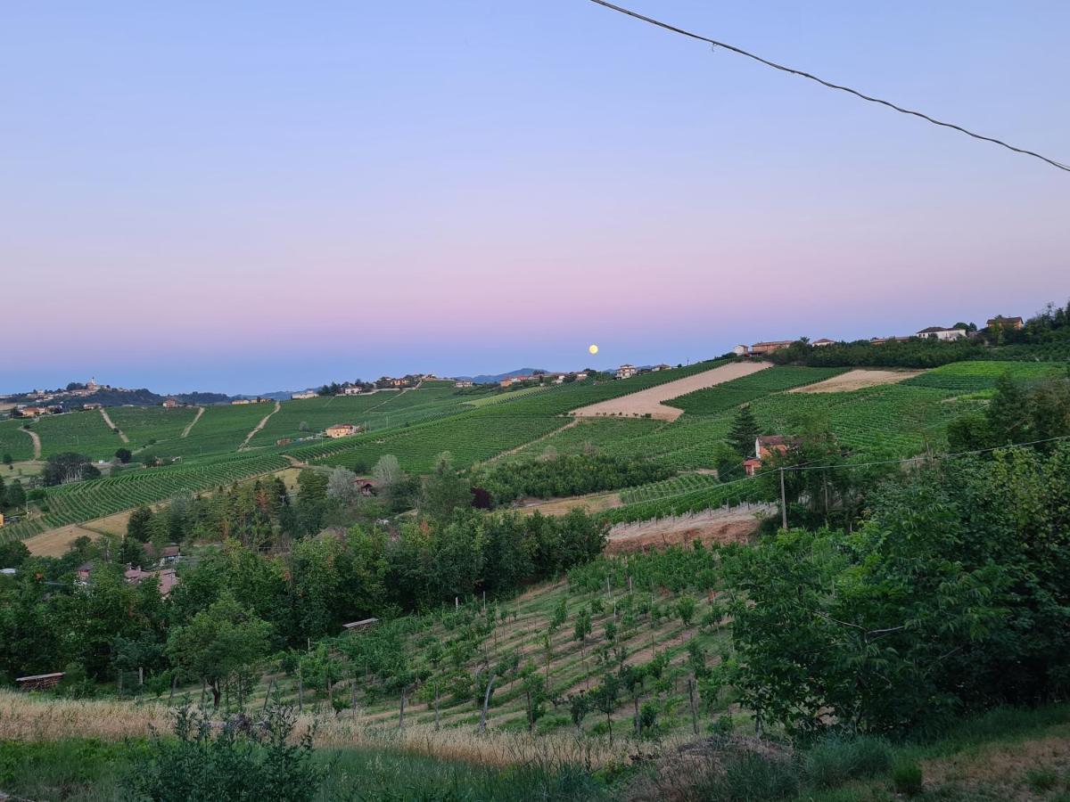Tenuta Dei Vicini - Luxury Apartments San Marzano Oliveto 外观 照片