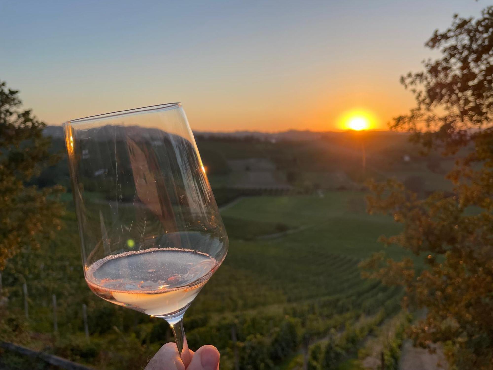 Tenuta Dei Vicini - Luxury Apartments San Marzano Oliveto 外观 照片